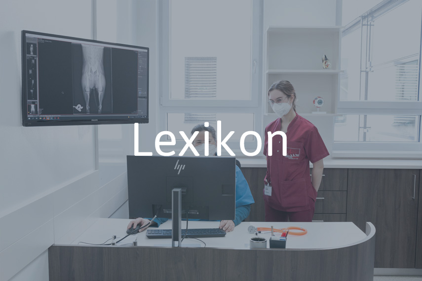 Lexikon