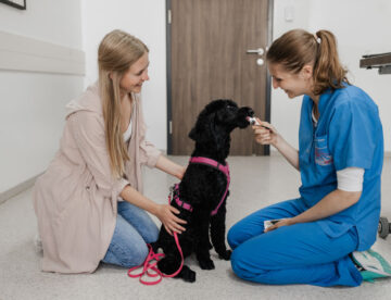 Happy-Visit in der Tierklinik Sattledt
