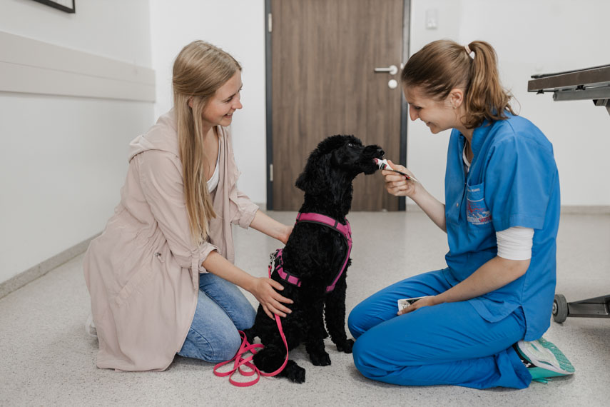 Happy-Visit in der Tierklinik Sattledt