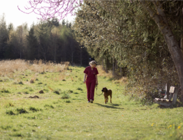 Hund Spaziergang im Freien