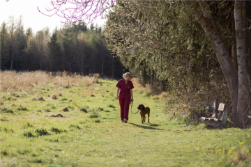 Hund Spaziergang im Freien